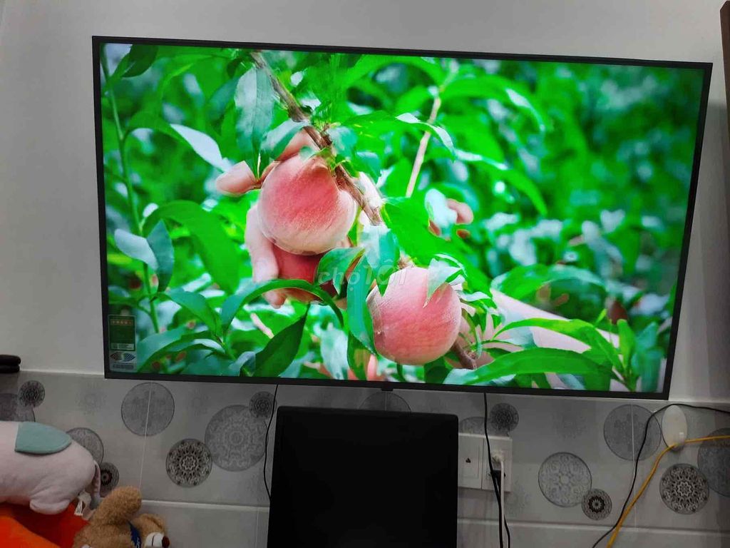 Chuyển nhà xa TV LG 50in 4K Wifi. Mua bán Tivi, Âm thanh tại Quận Gò Vấp Tp Hồ Chí Minh được đăng bởi Hoàng hình 2