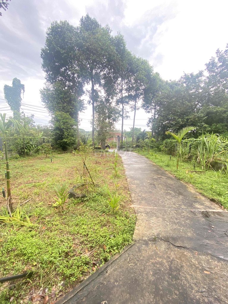 BÁN ĐẤT CĂN NHÀ VƯỜN XUÂN LẬP LONG KHÁNH 2ty3 823m
