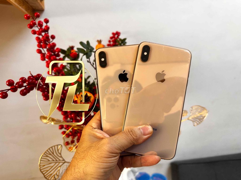 Apple iPhone XS Max 64GB Vàng Đã thay pin mới. Mua bán Điện thoại tại Thành phố Long Xuyên An Giang được đăng bởi TL Mobile hình 1