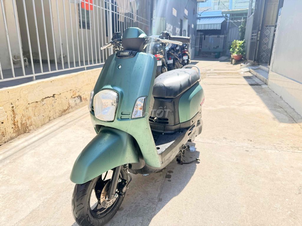 cần bán Cuxi Xanh rêu biển 43