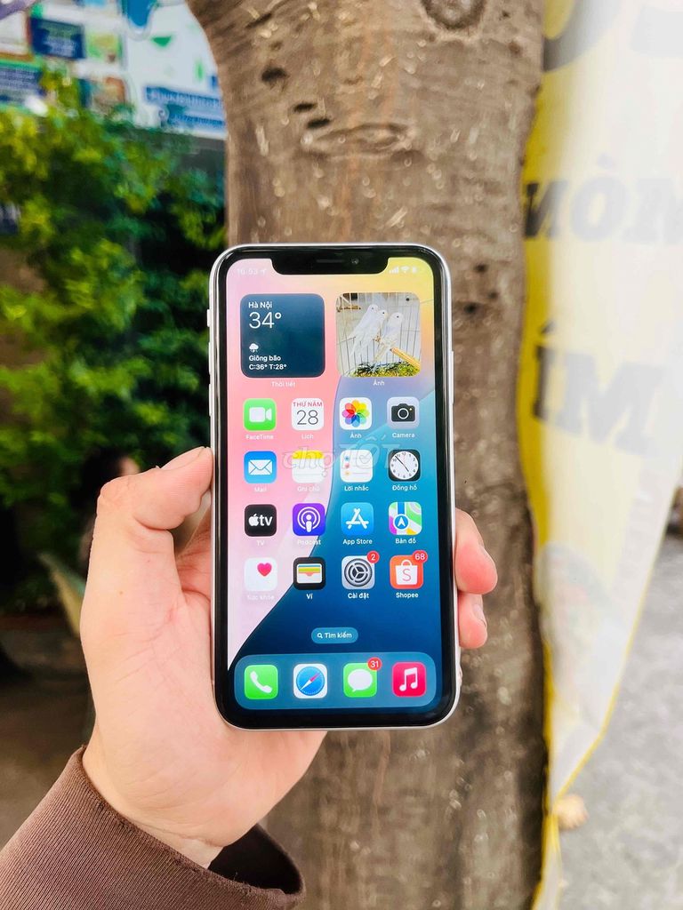 iPhone XR Cam 64Gb Quốc Tế  Full Zin Icloud Sạch. Mua bán Điện thoại tại Quận Gò Vấp Tp Hồ Chí Minh được đăng bởi Miễn Tiếp Cò Lái hình 1