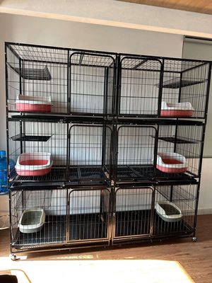 Chuồng mèo kim loại 3 tầng 2m x 60cm x 70cm. Mua bán Phụ kiện, Thức ăn, Dịch vụ tại Quận Tân Bình Tp Hồ Chí Minh được đăng bởi Nguyen Tai