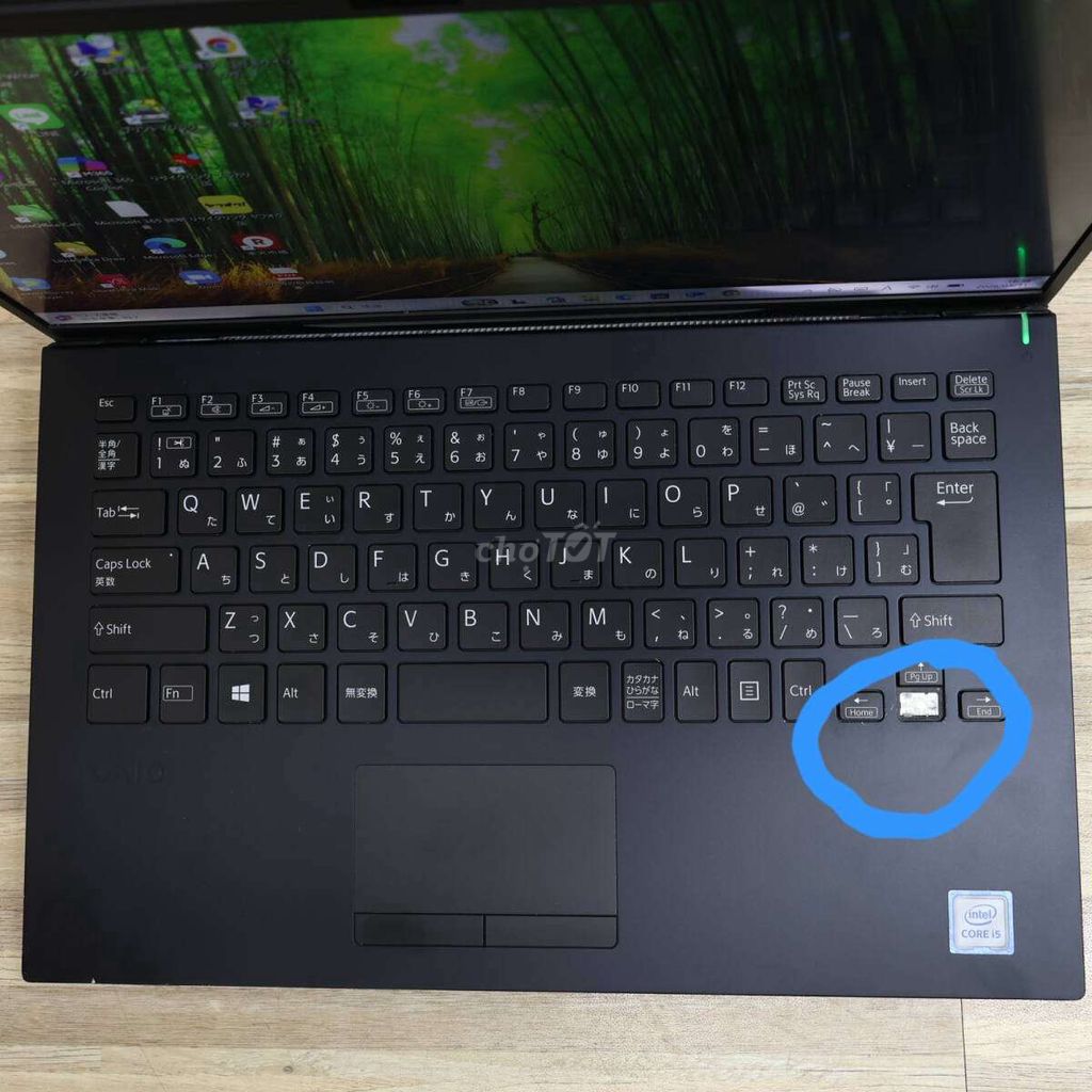 VAIO Core i5 8GB/256GB Đã sử dụng. Mua bán Laptop tại Thành phố Thủ Đức Tp Hồ Chí Minh được đăng bởi Nguyễn Chúc Tấn hình 1