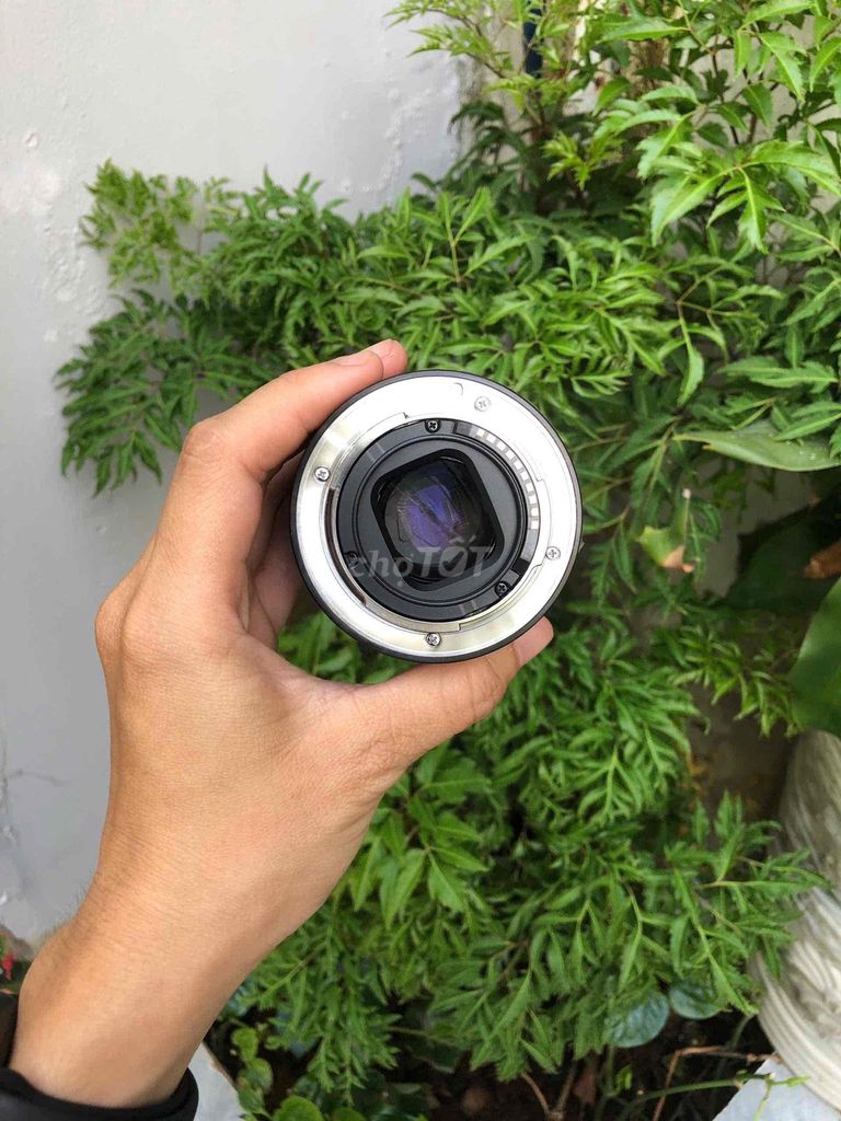 Ống kính Sony SEL50F18 đẹp có hood. Mua bán Máy ảnh, Máy quay tại Quận Phú Nhuận Tp Hồ Chí Minh được đăng bởi Lam Vy  hình 1