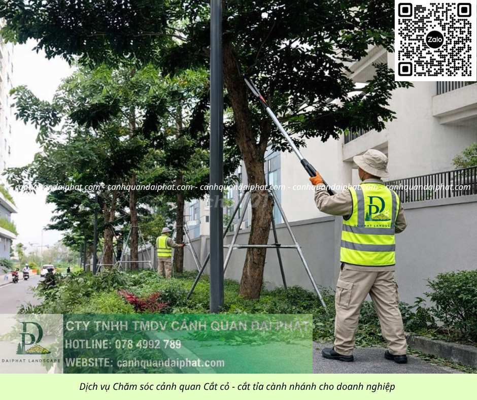Dịch vụ chăm sóc cảnh quan KCN Long Đức Đồng Nai. Dịch vụ tại Huyện Long Thành Đồng Nai được đăng bởi Cảnh quan Đại Phát Vườn Sa đéc hình 1