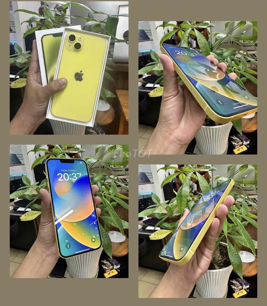 iPhone 14 Plus 128G Vàng FULLBOX KENG 2025. Mua bán Điện thoại tại Quận 10 Tp Hồ Chí Minh được đăng bởi iStockHCM hình 1
