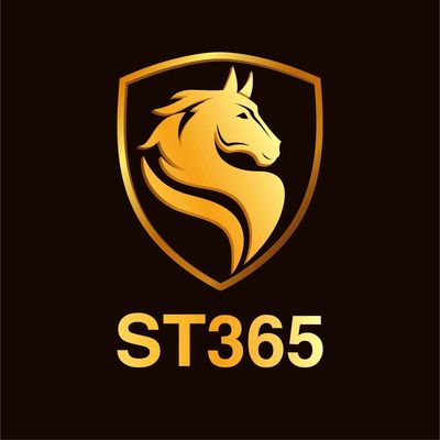 Sơn Xe Miền Tây 365 logo