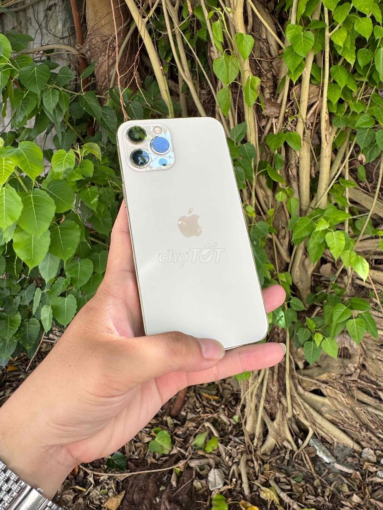 Apple iPhone 12 Pro Max 128GB Gold. Mua bán Điện thoại tại Thành phố Vũng Tàu Bà Rịa - Vũng Tàu được đăng bởi BINHHYK  hình 1