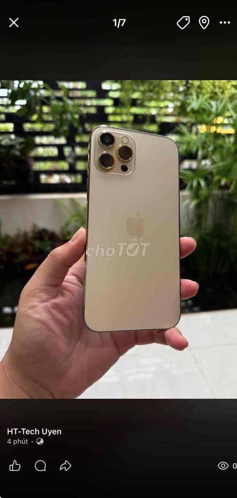 Apple iPhone 12 Pro Max 128GB Vàng 98%. Mua bán Điện thoại tại Thành phố Biên Hòa Đồng Nai được đăng bởi Uyên Phạm hình 1