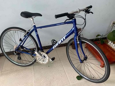 Bán xe thể thao chính hãng Giant xịn. Mua bán Xe đạp tại Quận Cẩm Lệ Đà Nẵng được đăng bởi datmasuto