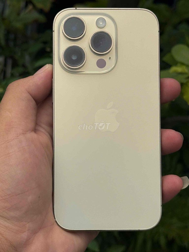 iphone 14 Pro 128G QT. Mua bán Điện thoại tại Huyện Châu Thành A Hậu Giang được đăng bởi 95 Store Góp Bao Nợ Xấu hình 1
