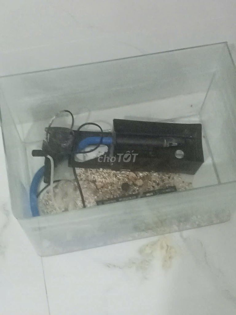Hồ cá + sỏi cá + máy lọc tràn tổng 350k     . Mua bán Phụ kiện, Thức ăn, Dịch vụ tại Thị xã Hoài Nhơn Bình Định được đăng bởi 壞人 hình 1