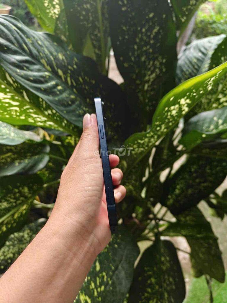 Apple iPhone 13 128GB nhận giao lưu. Mua bán Điện thoại tại Huyện Tháp Mười Đồng Tháp được đăng bởi NGON hình 1