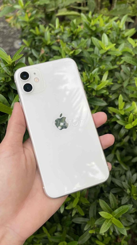 Iphone 11 64gb lock zin nguyên áp suất