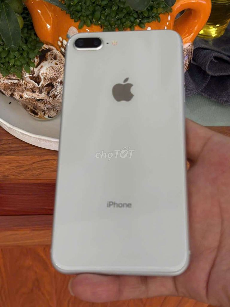 bán iPhone 8 Plus full chức năng. Mua bán Điện thoại tại Thành phố Sóc Trăng Sóc Trăng được đăng bởi điện thoại giá sỉ 501lê Hồng Phong  hình 1