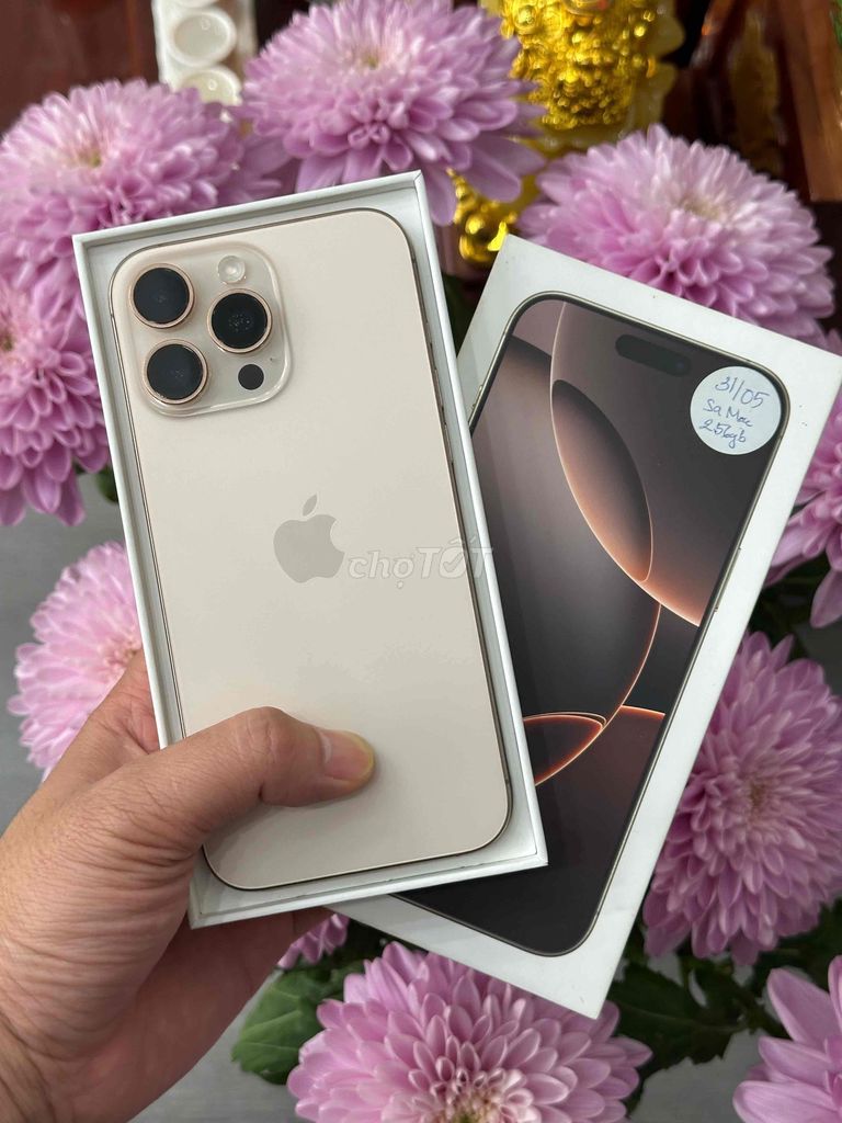 16 Pro Max 256GB VN SM Pin 100 BH 8/2026 imei 9282. Mua bán Điện thoại tại Quận Ninh Kiều Cần Thơ được đăng bởi Quý Mobile Cần thơ hình 1