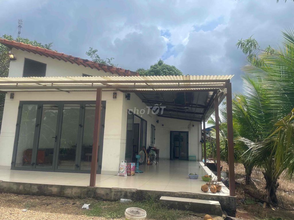 Vườn trồng cây 6000m2 bao gồm nhà ở 100m2 tại Ngãi Giao, Châu Đức BRVT. Cho thuê Nhà ở tại Huyện Châu Đức Bà Rịa - Vũng Tàu được đăng bởi Thêm Ngô hình 4