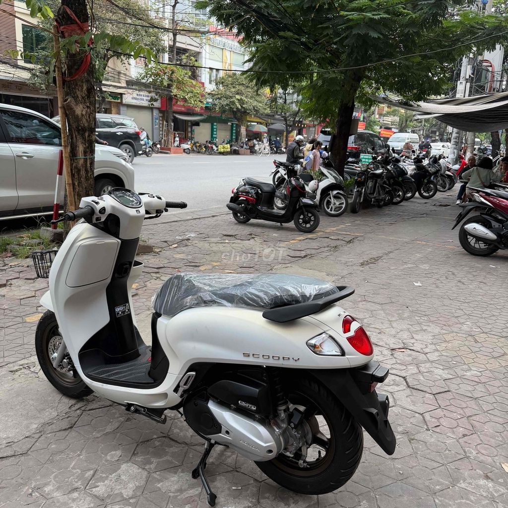 Bán xe SCopy. Mua bán Xe máy tại Quận Lê Chân Hải Phòng được đăng bởi Cửa Hàng Xe Máy Hương THược  hình 3