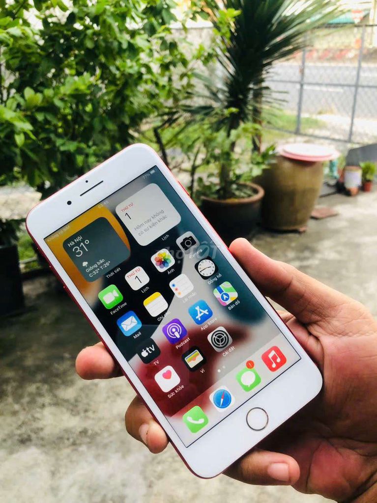 Apple iPhone 7 Plus 128GB Đỏ rượu vang. Mua bán Điện thoại tại Huyện Bình Chánh Tp Hồ Chí Minh được đăng bởi Hồ Trọng Tín hình 1