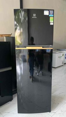 Tủ lạnh Electrolux inventer 369L