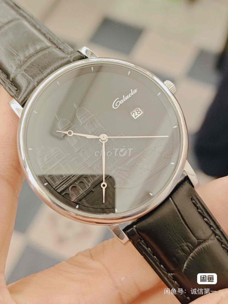 CALUOLA Automatic Saphire