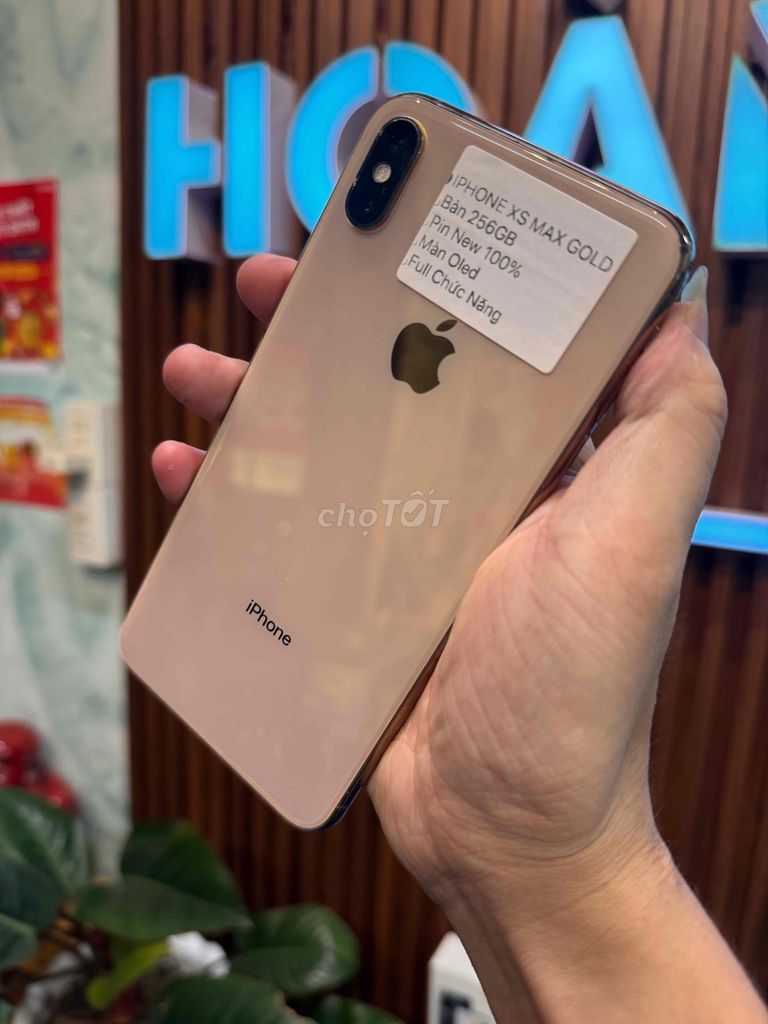 iPhone XS Max 256GB Vàng đồng. Mua bán Điện thoại tại Thành phố Huế Thừa Thiên Huế được đăng bởi Hoàng Lộc Smartphone  hình 1