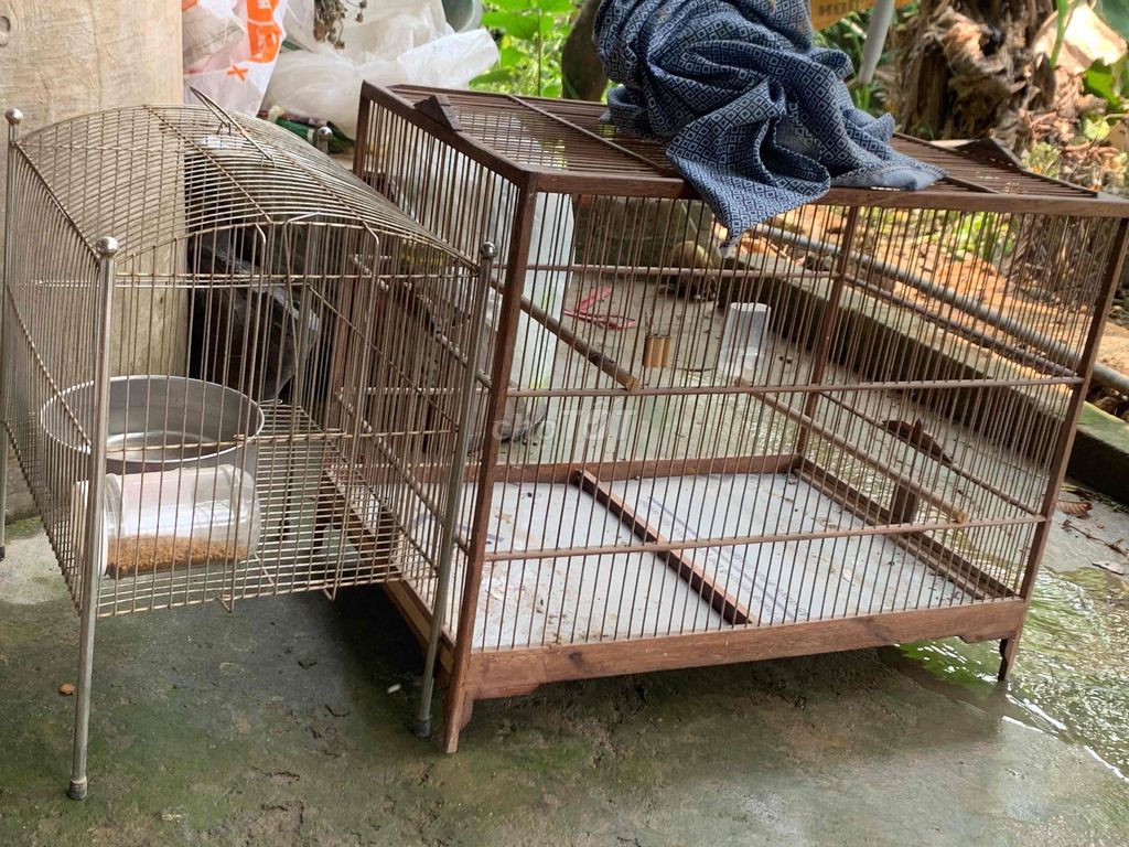 Lồng chim gỗ size 60 + lồng tắm inox. Mua bán Phụ kiện, Thức ăn, Dịch vụ tại Huyện Hòa Vang Đà Nẵng được đăng bởi nguyễn hình 1