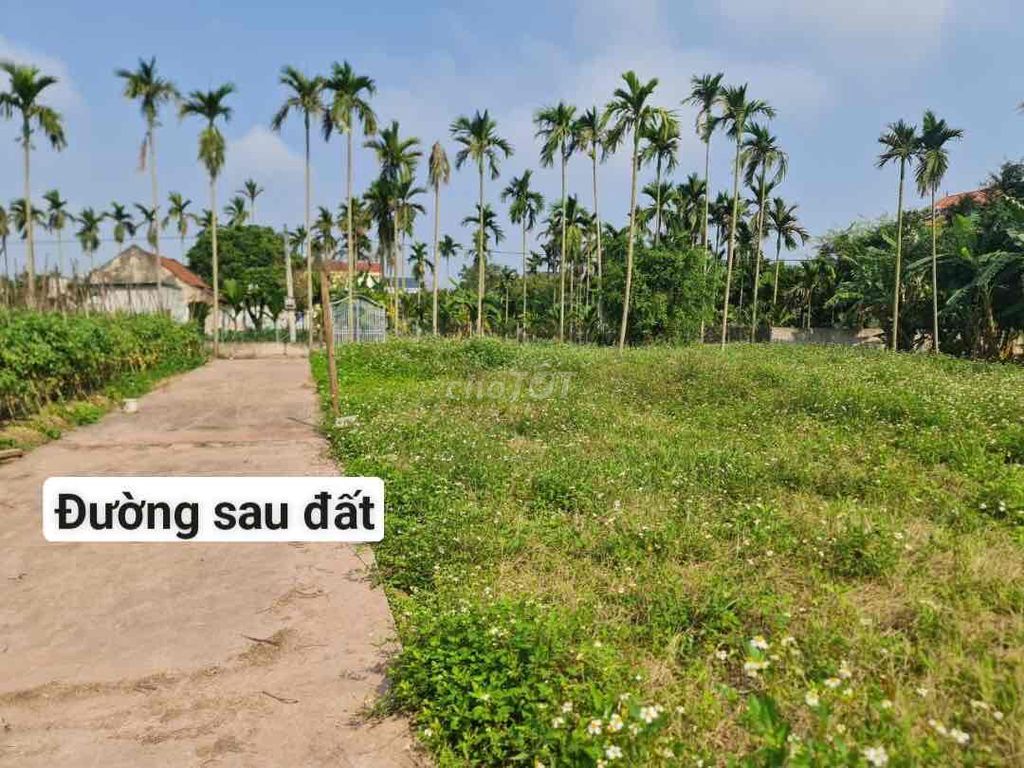 Bán lô đất xóm Ninh Hà, xã Hải Giang, Hải Hậu