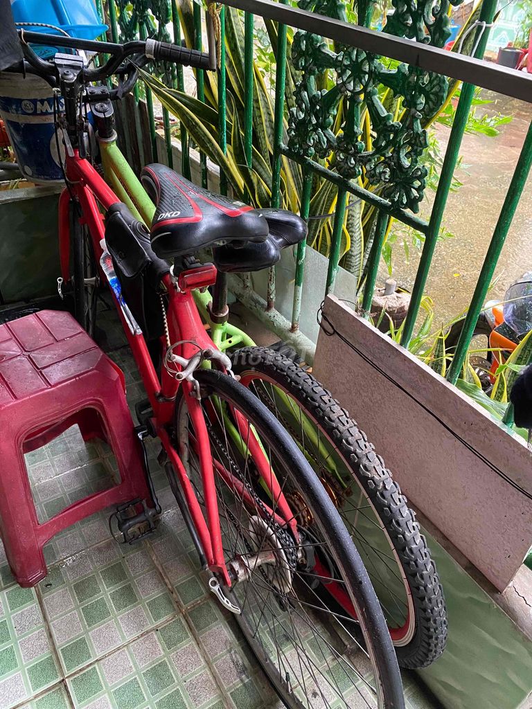 Xe đạp thể thao dư dùng. Mua bán Xe đạp tại Thành phố Cà Mau Cà Mau được đăng bởi P hình 3