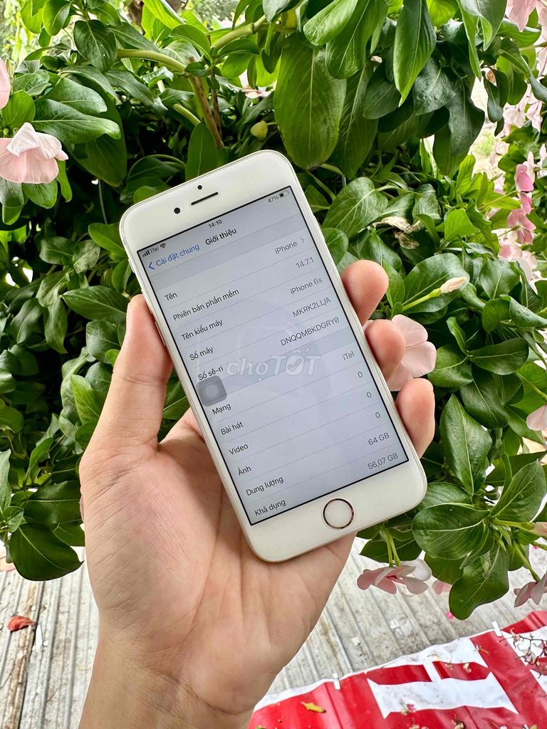 iphone 6S 64G quốc tế đẹp 99%