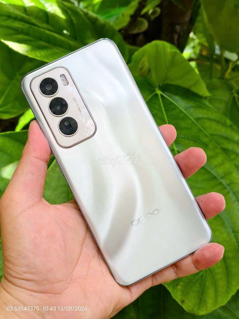 Oppo Reno 12 512GB Bạc Đã sử dụng. Mua bán Điện thoại tại Thành phố Thuận An Bình Dương được đăng bởi Thu Quynh shop hình 1