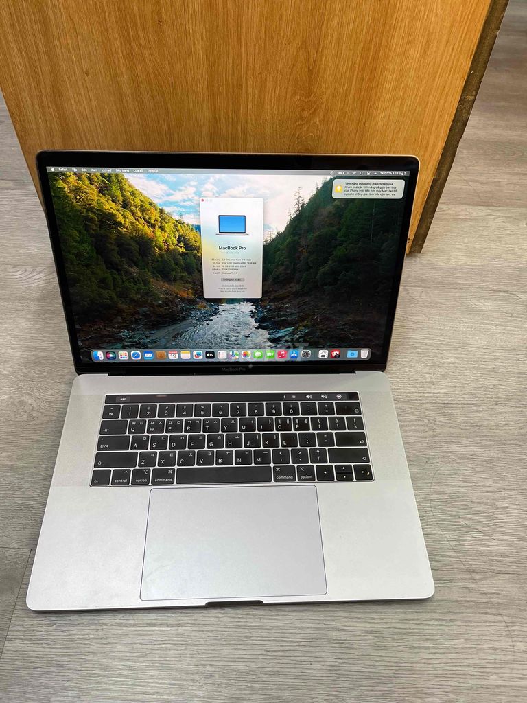 Macbook Pro 2018 15in i7 16/256GB Car 555X 4GB 98%