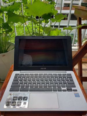 Asus C200 chromebook