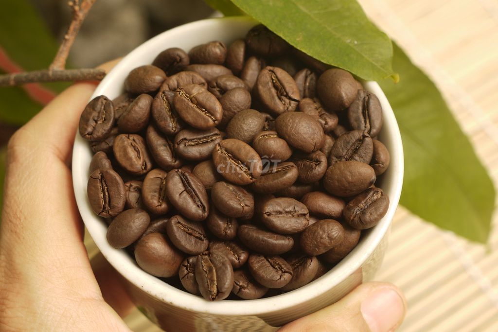 Cà phê nguyên chất rang mộc loại 1 hậu vị đậm