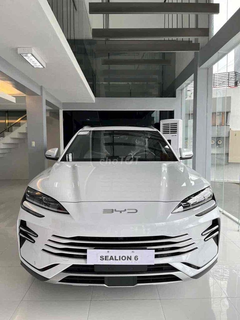 Ảnh số 2