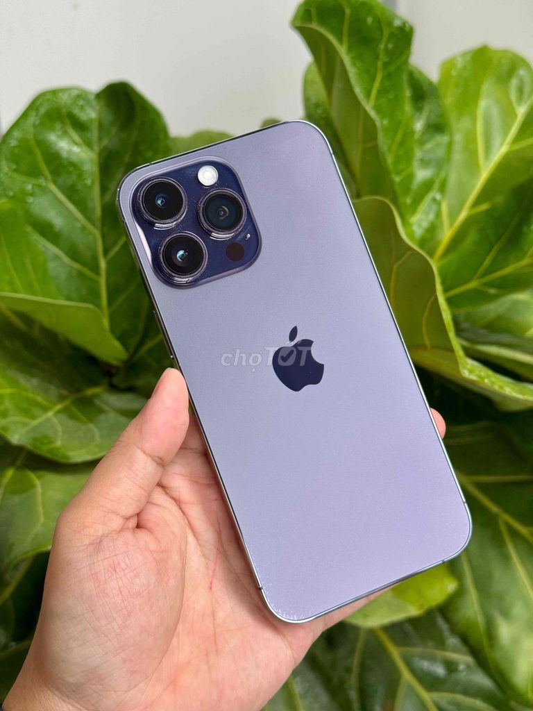 iphone 14 Promax 128gb VietNam 99%. Mua bán Điện thoại tại Quận Bình Thuỷ Cần Thơ được đăng bởi Nguyễn Thanh Toàn hình 1