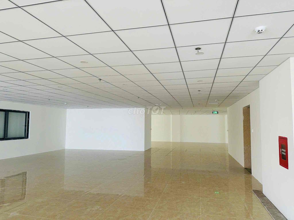 ❤️CHO THUÊ VĂN PHÒNG DT :600m2 , NGANG :20M , VP MỚI XÂY RẤT ĐẸP. Cho thuê văn phòng, mặt bằng kinh doanh tại Quận Hải Châu Đà Nẵng được đăng bởi NGUYỄN VĂN ĐÀO hình 3