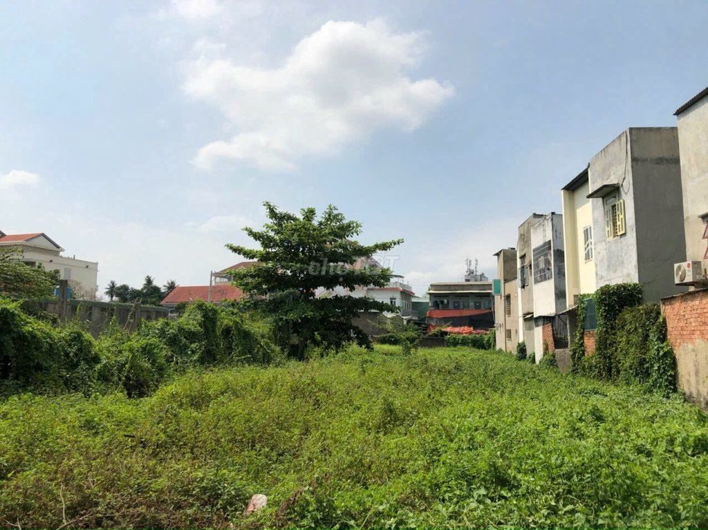 Thổ cư (1000m²), đường Thạnh Lộc 22, Q.12