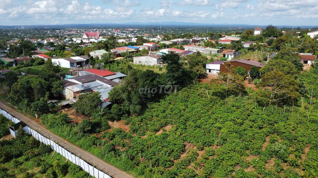 Bán 4 lô đất ngay Nguyễn Thái Học, phường Bình Tân, đất thổ cư 100%