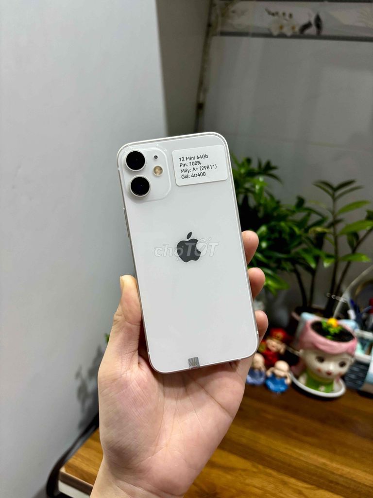 iPhone 12 Mini 64GB Trắng Zin đẹp 99. Mua bán Điện thoại tại Huyện Hóc Môn Tp Hồ Chí Minh được đăng bởi Luân Hoài hình 1