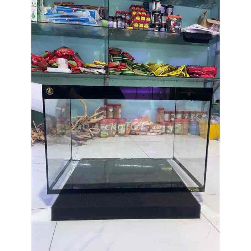 Bể cá cảnh Kính 60x40x40 cm. Mua bán Phụ kiện, Thức ăn, Dịch vụ tại Quận Bình Thuỷ Cần Thơ được đăng bởi Thanh Quân hình 1