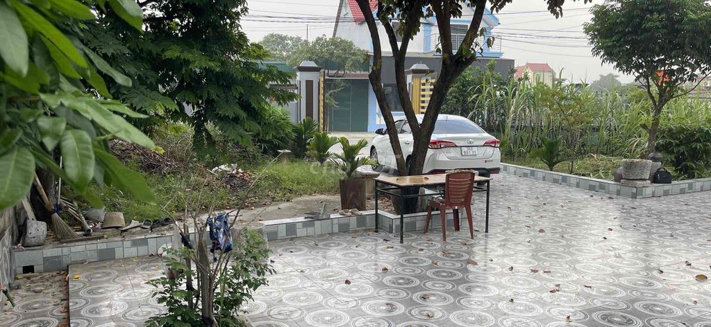 Ảnh số 8
