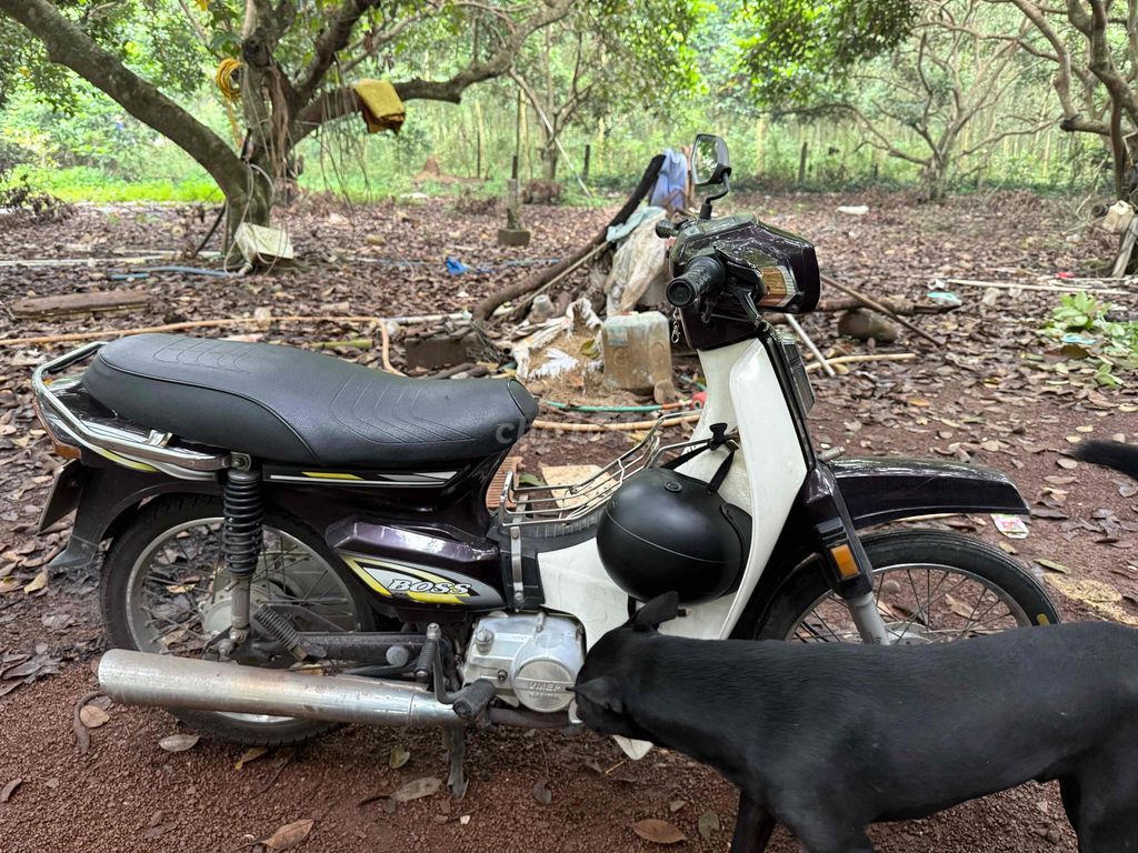 boss sada siêu bền siêu tiết kiệm xăng. Mua bán Xe máy tại Huyện Trảng Bom Đồng Nai được đăng bởi fb Ngọc Hưng hoàng  hình 1