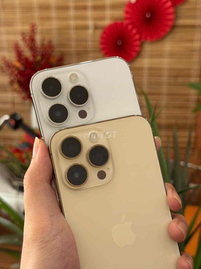 Apple iPhone 14 Pro Max 256GB Vàng. Mua bán Điện thoại tại Thành phố Cao Lãnh Đồng Tháp được đăng bởi Thiên Apple  hình 1
