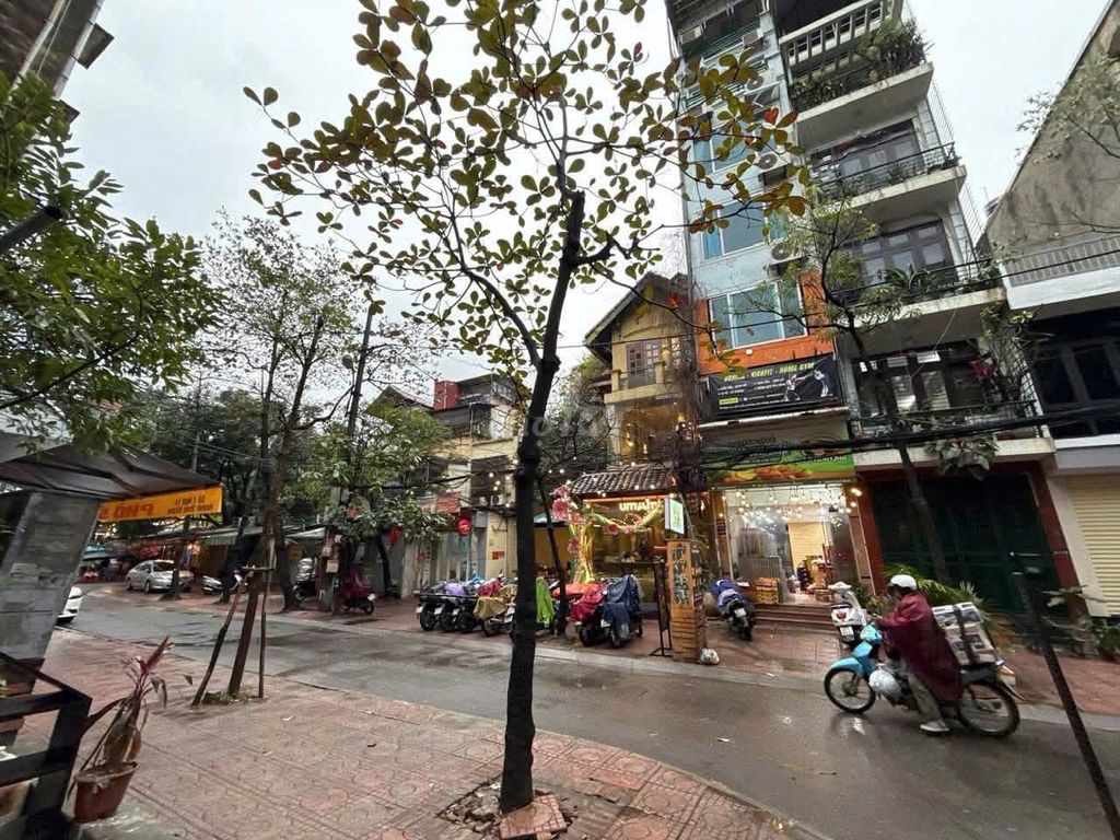 Sàn VP 14 Huỳnh Thúc Kháng - Nguyên Hồng, 40 m2, thông sàn 7 triệu