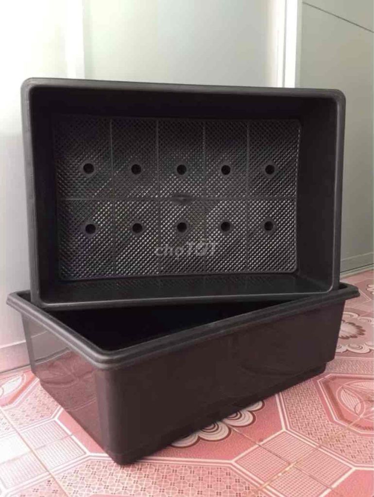 Khay trồng rau Nhựa Đen kèm Đất. Mua bán Cây cảnh, đồ trang trí tại Thành phố Thủ Đức Tp Hồ Chí Minh được đăng bởi Bảo Terrarium hình 1