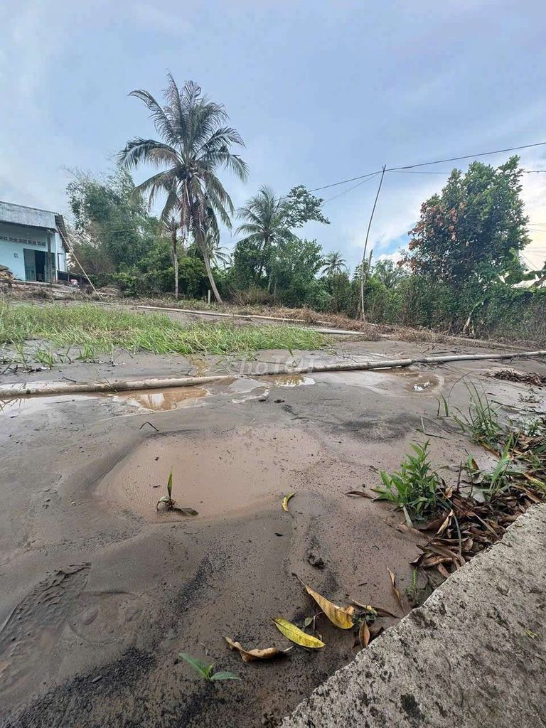 Kiếm đâu ra khu này lô thổ 103m2 giá 299tr. Mua bán đất tại Huyện Tân Trụ Long An được đăng bởi nguyễn anh tuấn hình 1