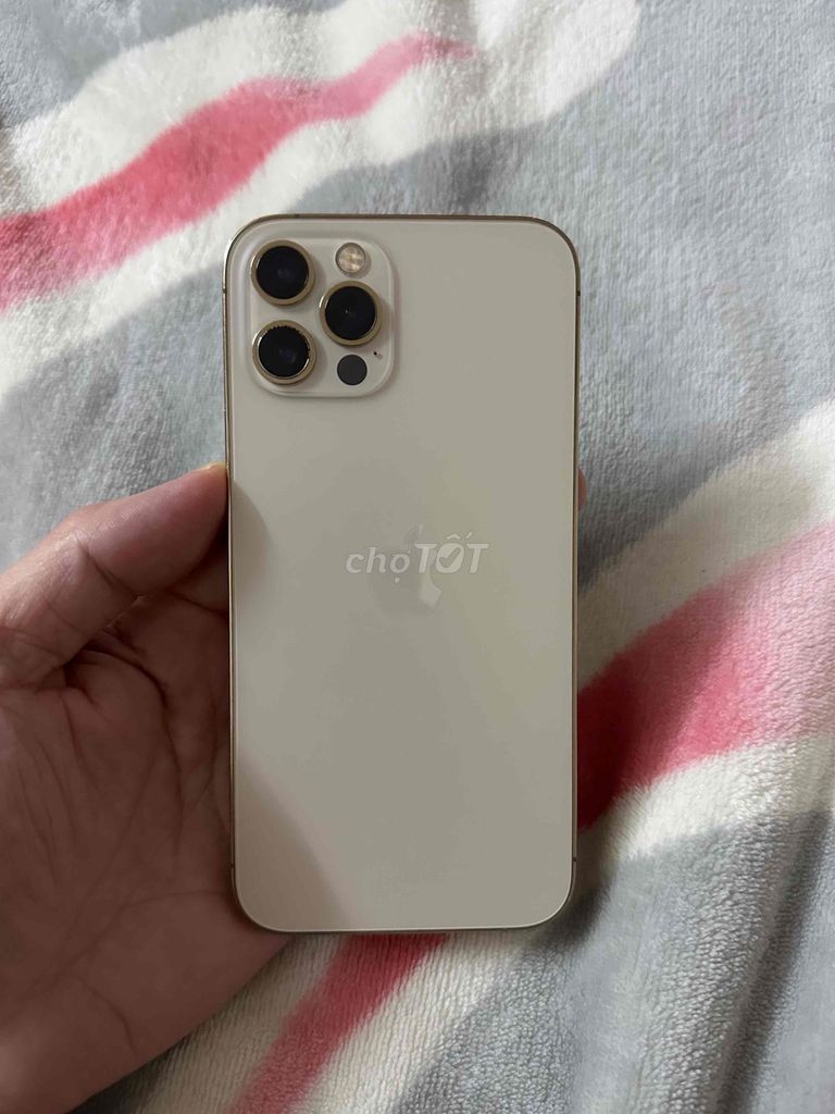 Pass ip12 pro 256gb gold quốc tế chính chủ.... Mua bán Điện thoại tại Quận Hai Bà Trưng Hà Nội được đăng bởi Versace  hình 1