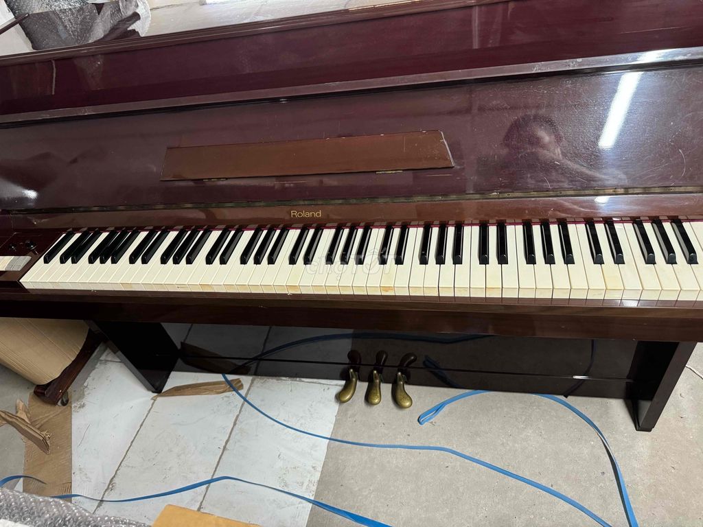 piano rolan Hp giả cơ âm hay hàng nhật