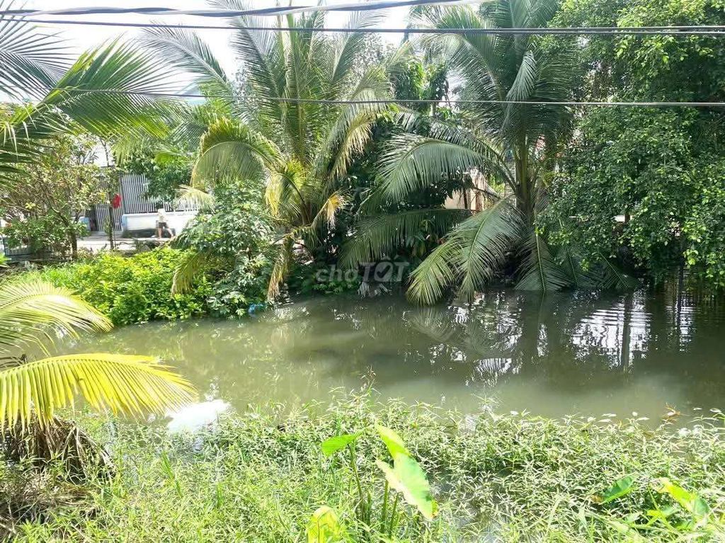 ĐẤT VEWSÔNG MÁT MẺ ,AN SƠN ,THUẬN AN ,BÌNH DƯƠNG. Mua bán đất tại Thành phố Thuận An Bình Dương được đăng bởi Tân Nguyễn hình 1